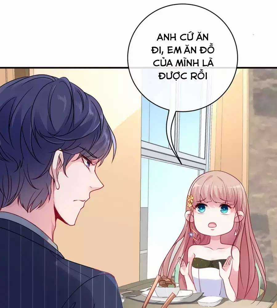 Băng Sơn Tổng Tài Sủng Thê Vô Độ Chapter 25 trang 6