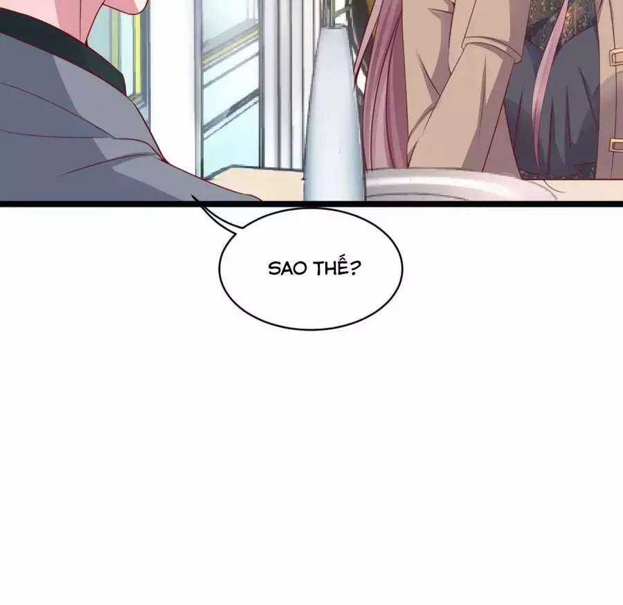 Băng Sơn Tổng Tài Sủng Thê Vô Độ Chapter 40 trang 14