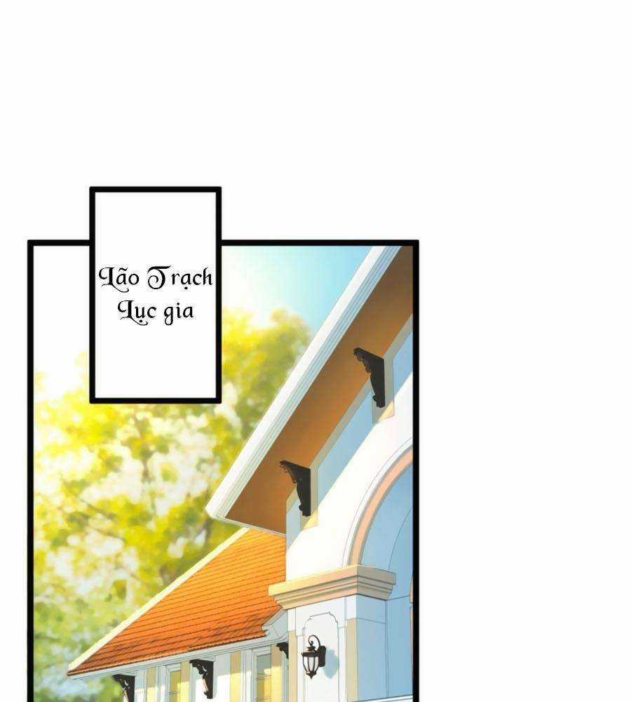 Băng Sơn Tổng Tài Sủng Thê Vô Độ Chapter 43 trang 14