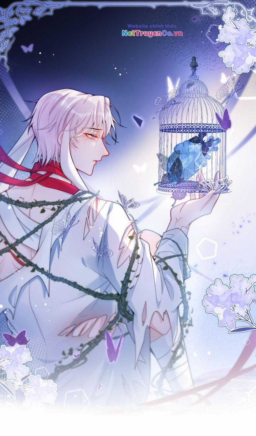 Báo Ân Của Sói Chapter 37 trang 0
