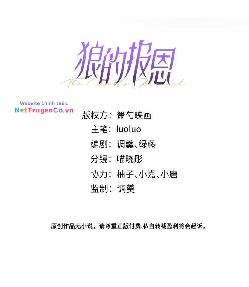 Báo Ân Của Sói Chapter 37 trang 1