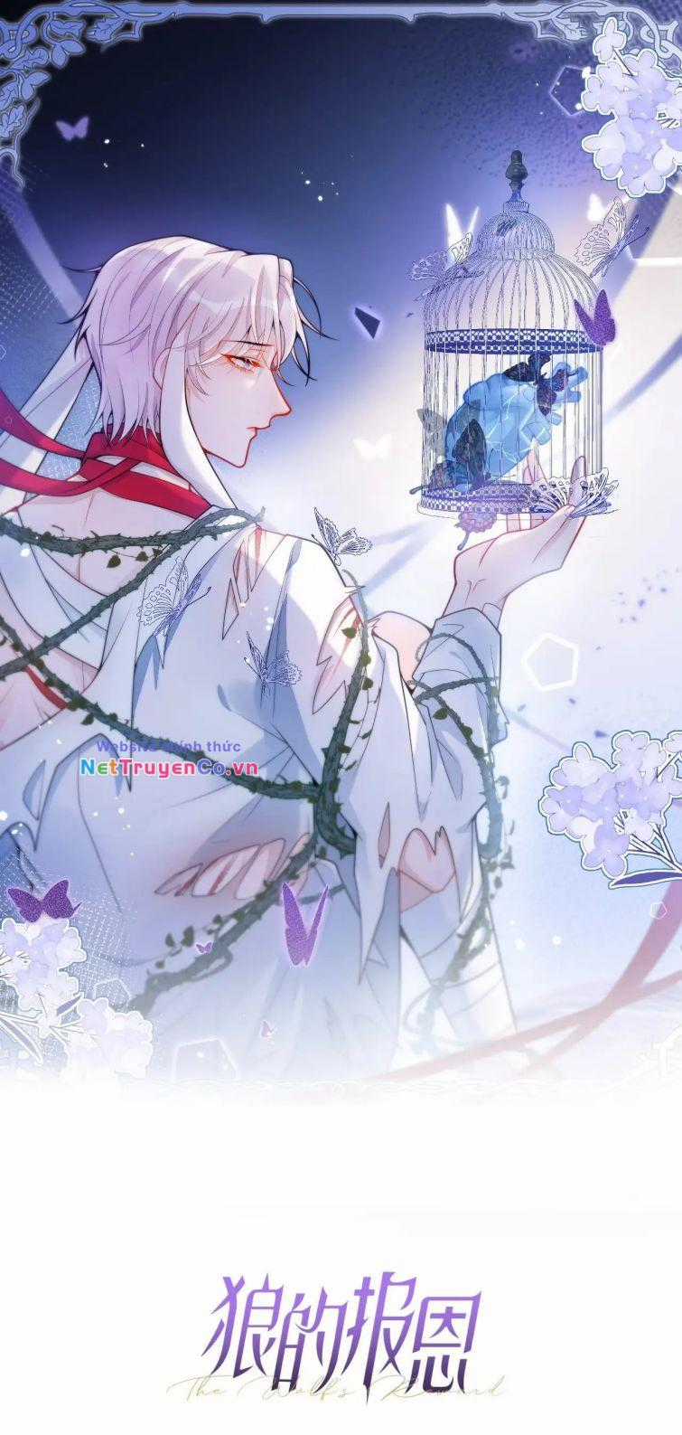 Báo Ân Của Sói Chapter 38 trang 0