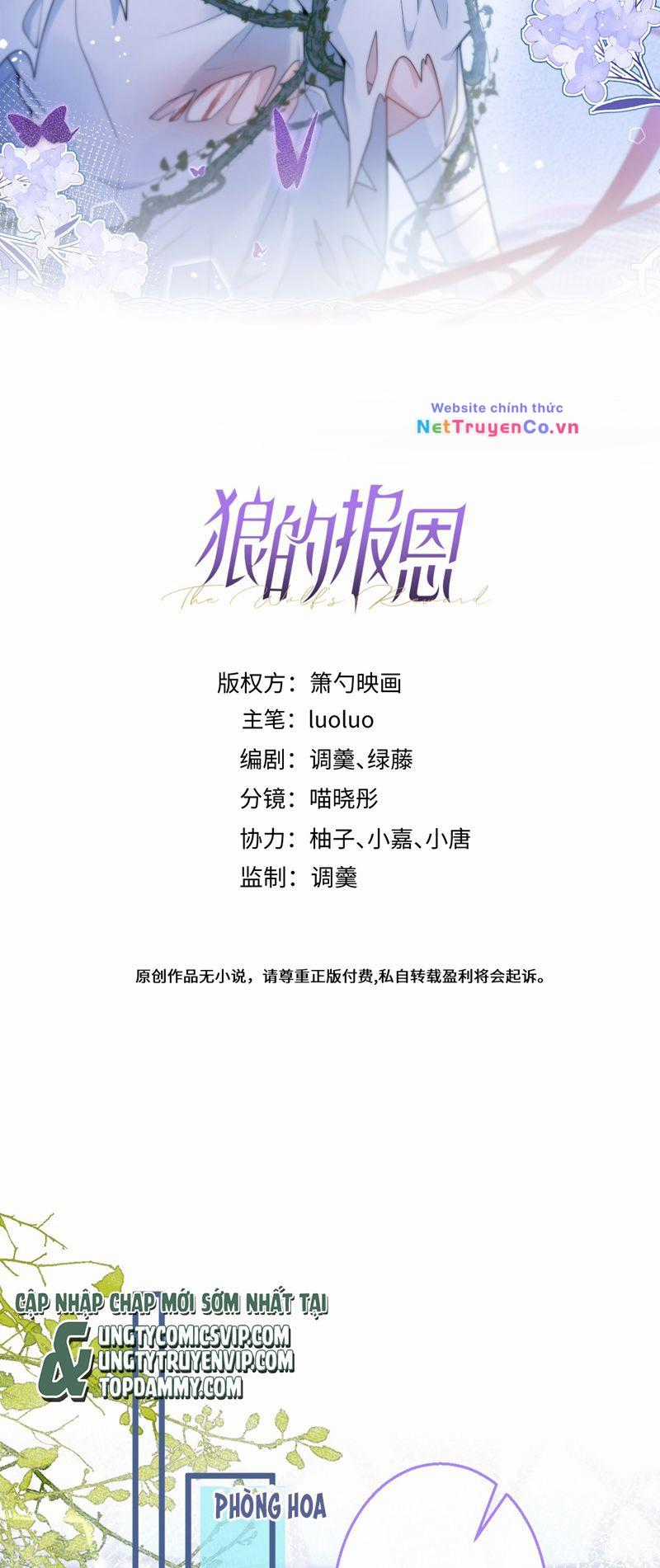 Báo Ân Của Sói Chapter 39 trang 1