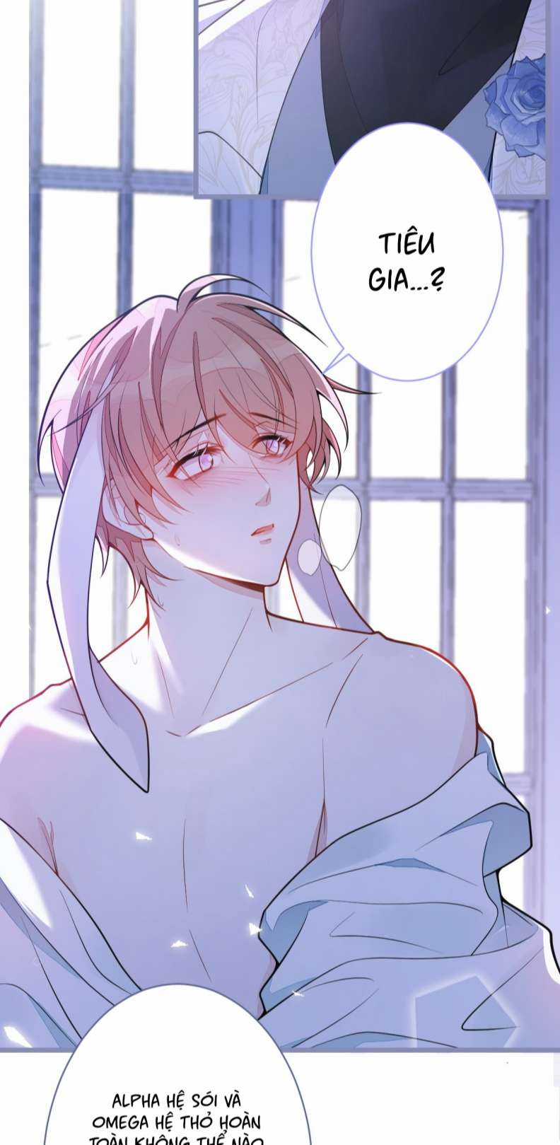 Báo Ân Của Sói Chapter 4 trang 15