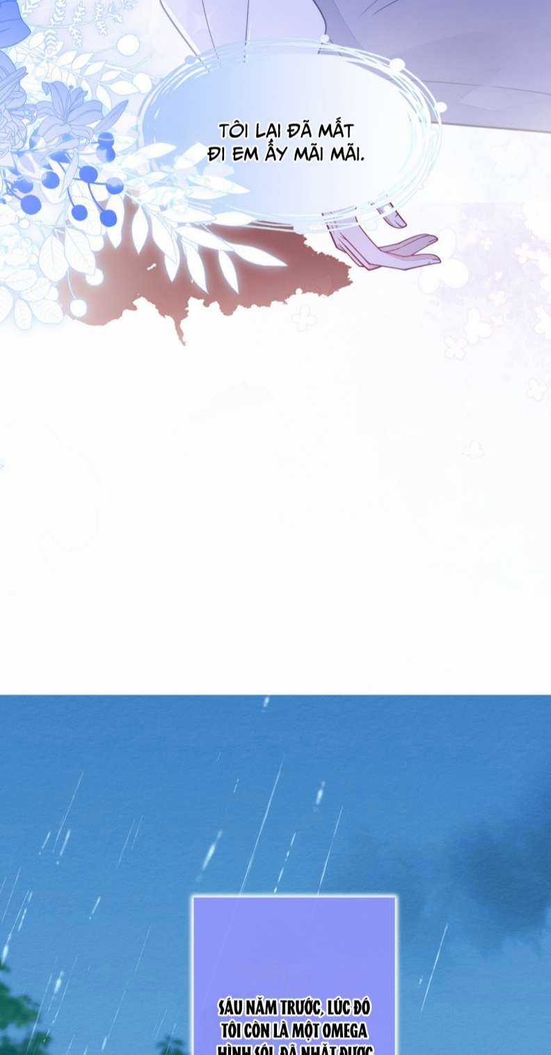 Báo Ân Của Sói Chapter 4 trang 24