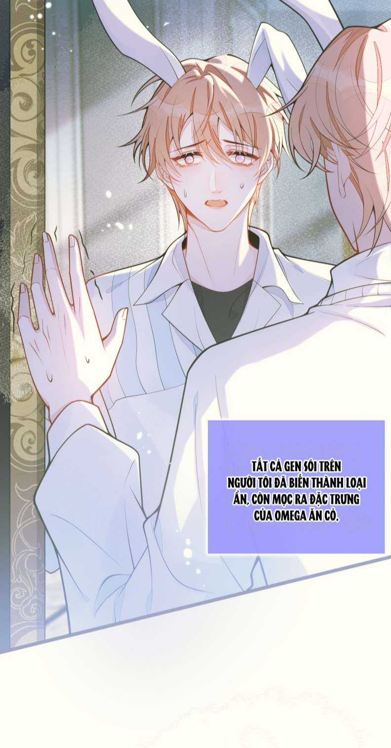 Báo Ân Của Sói Chapter 4 trang 29