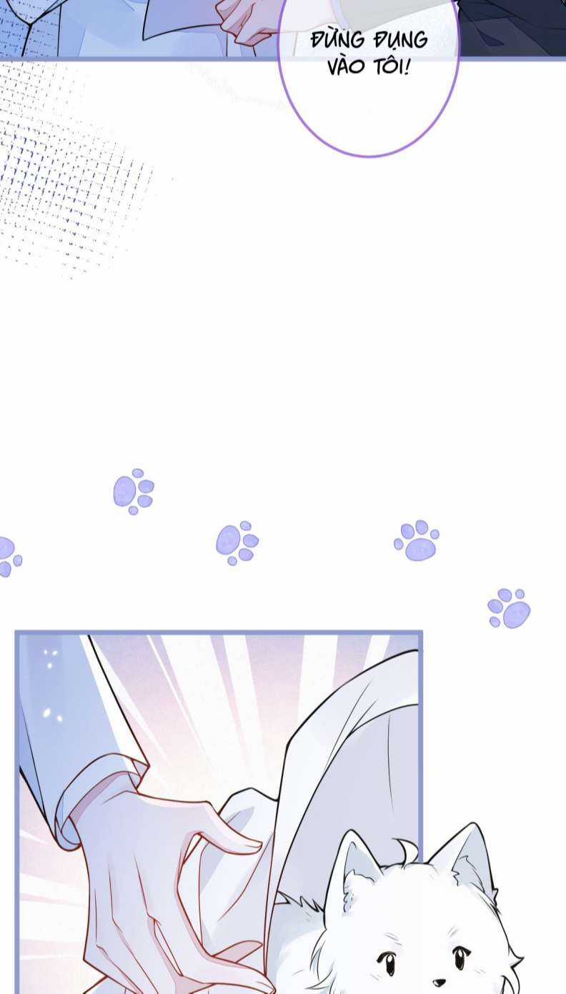 Báo Ân Của Sói Chapter 4 trang 43