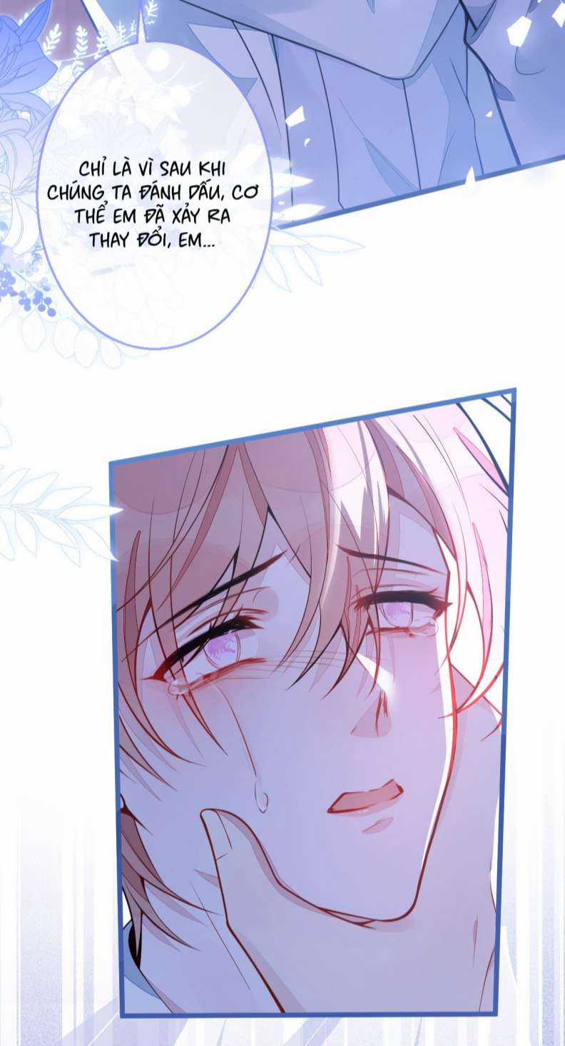Báo Ân Của Sói Chapter 4 trang 6