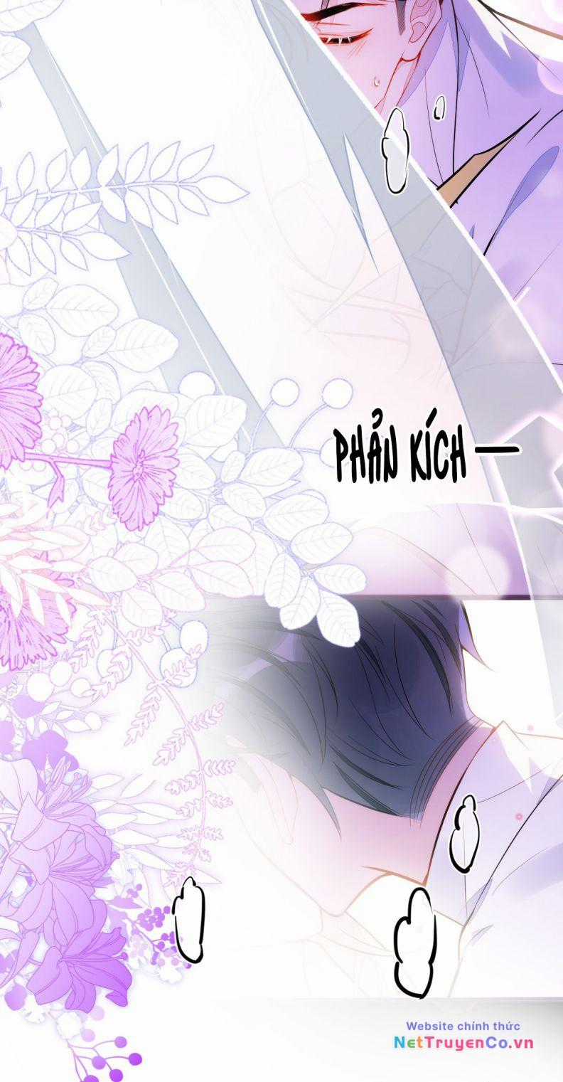 Báo Ân Của Sói Chapter 42 trang 11
