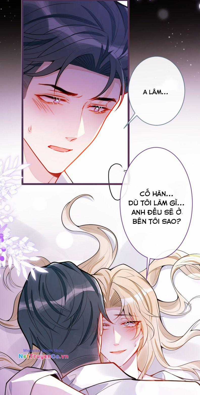 Báo Ân Của Sói Chapter 42 trang 14