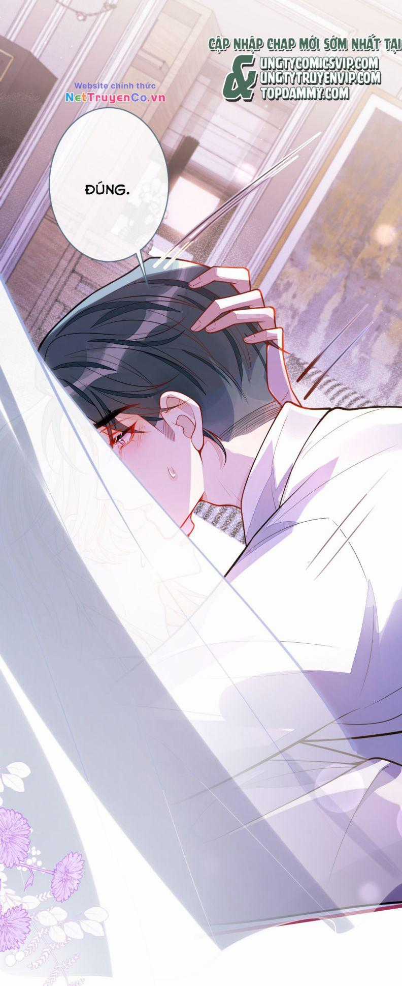 Báo Ân Của Sói Chapter 42 trang 16