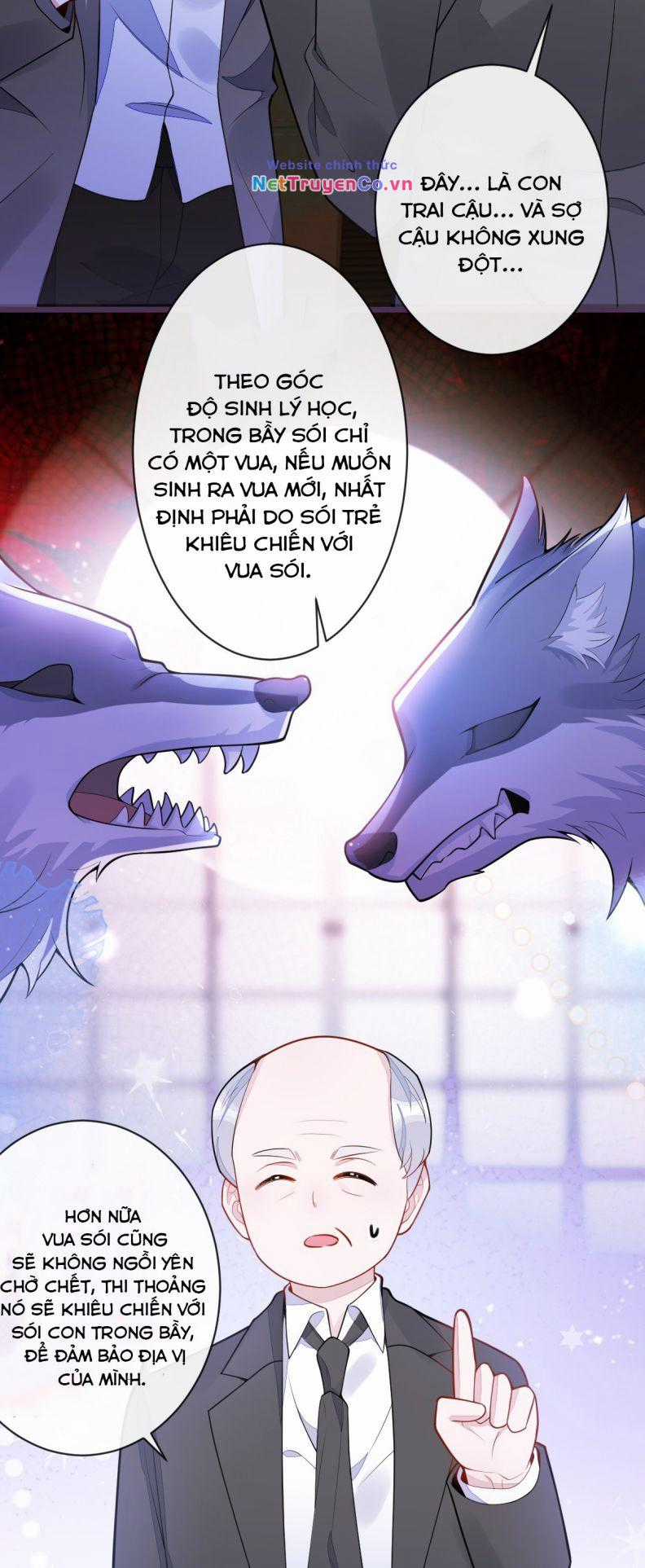 Báo Ân Của Sói Chapter 42 trang 19
