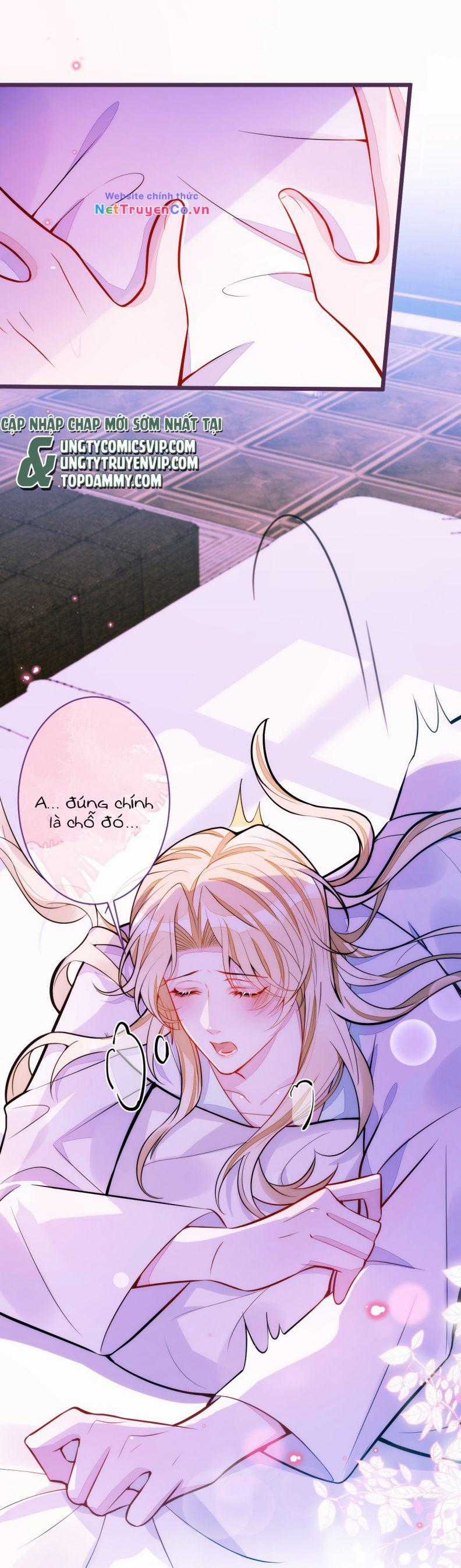 Báo Ân Của Sói Chapter 42 trang 8