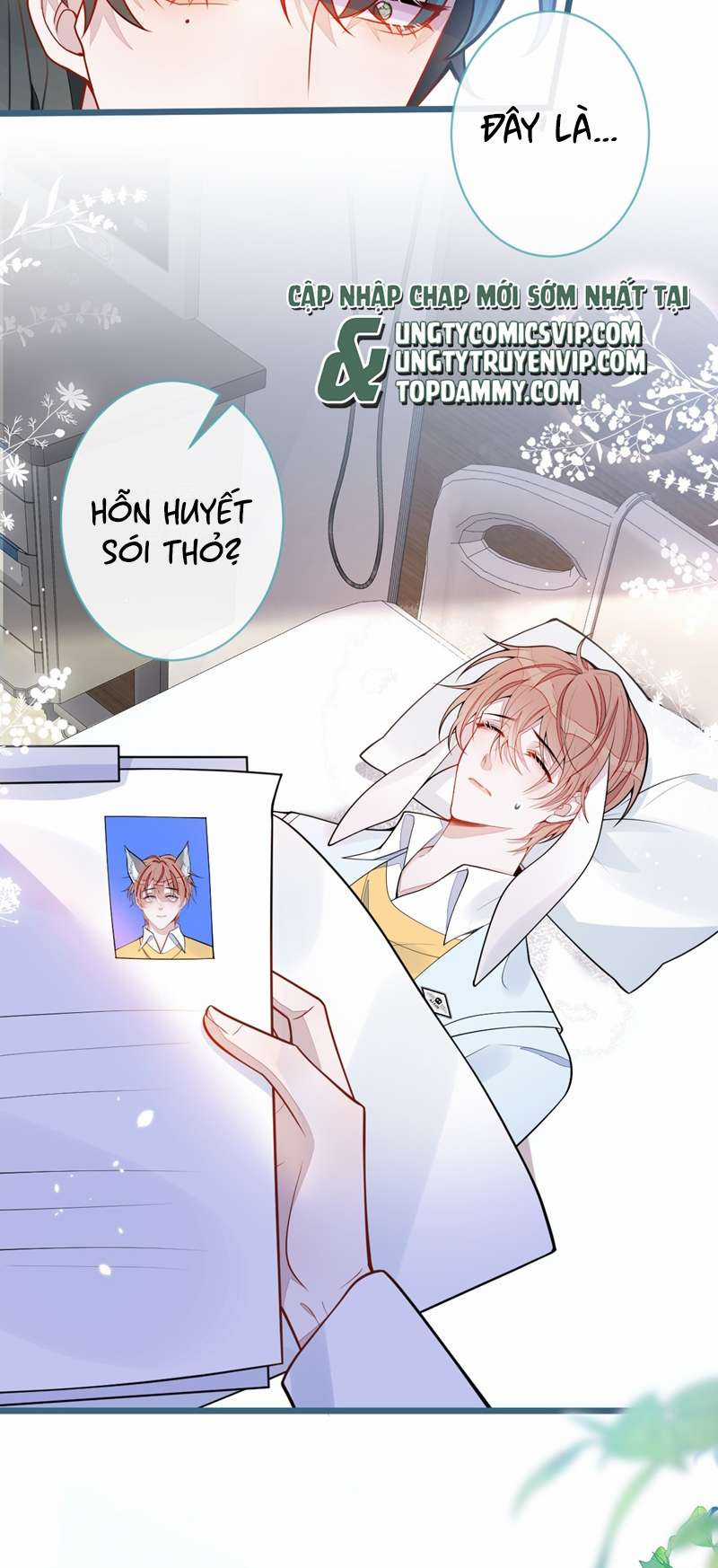 Báo Ân Của Sói Chapter 51 trang 21