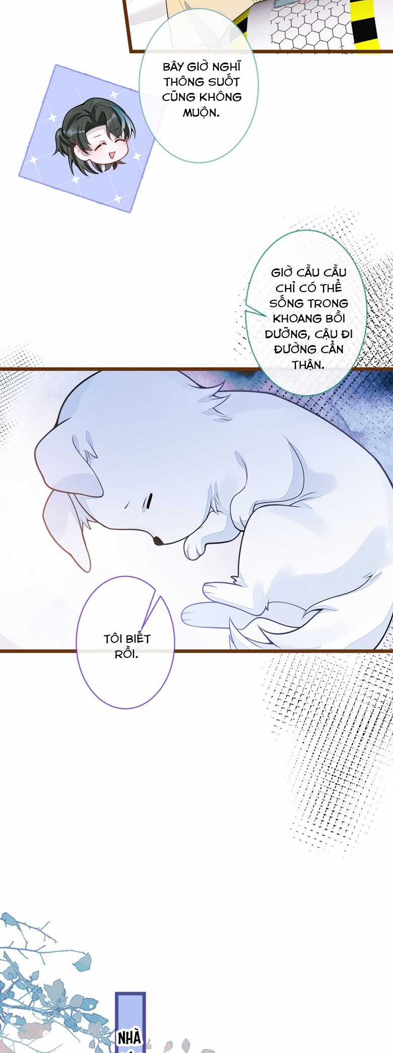 Báo Ân Của Sói Chapter 65 trang 14