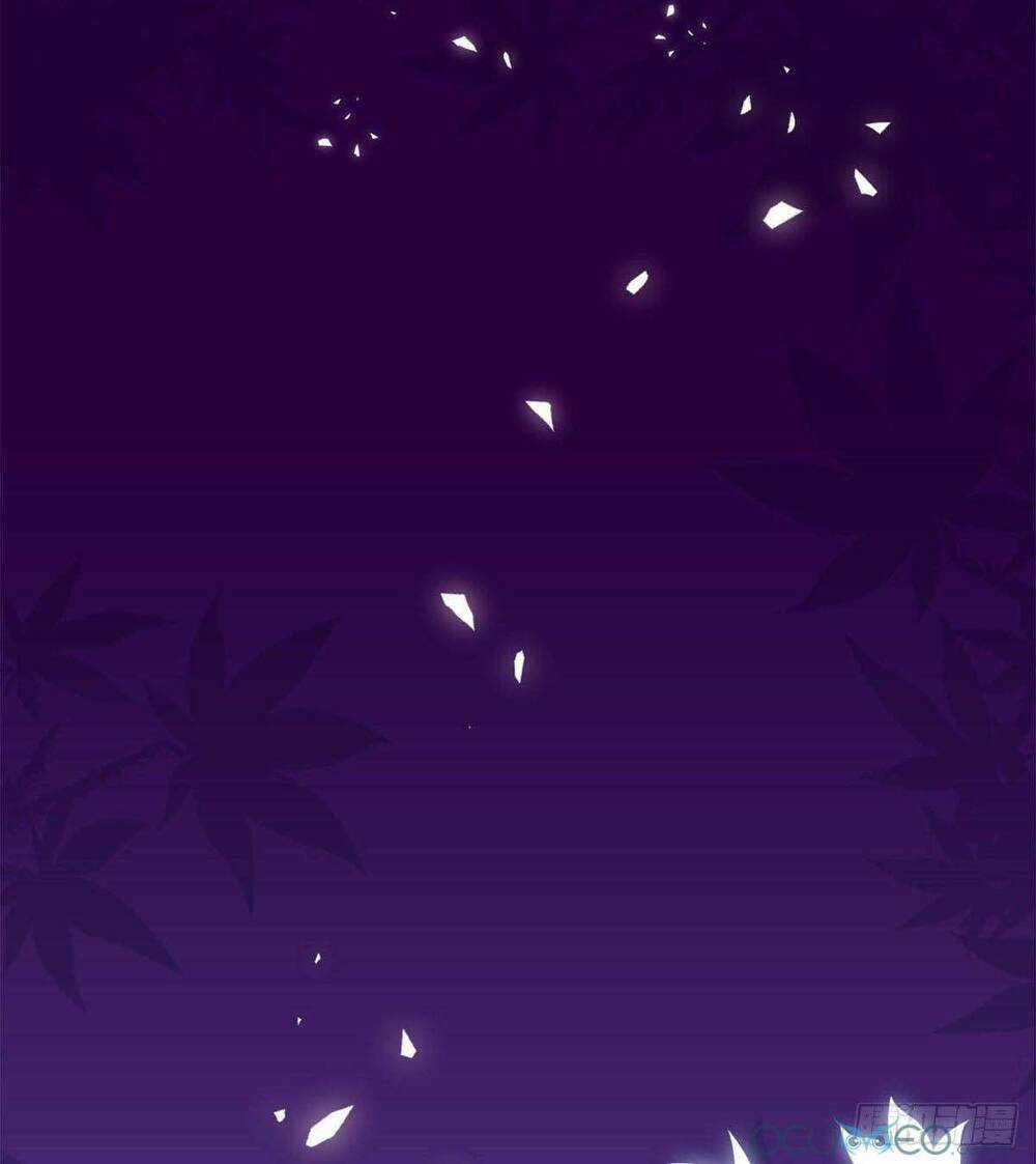 Bảo Bối Của Lão Đại Đã Xuyên Không Trở Về! Chapter 1 trang 11