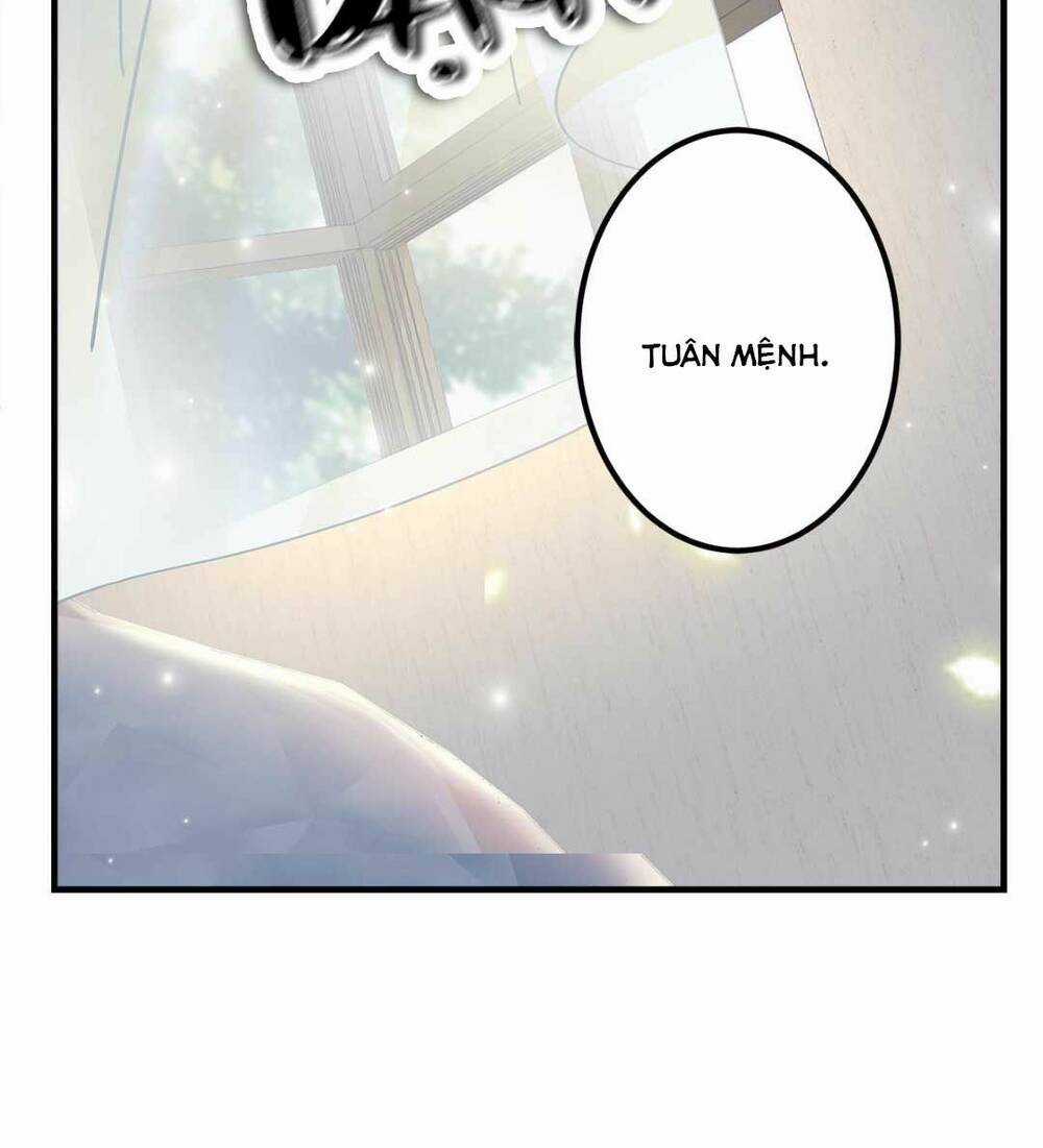 Bảo Bối Của Lão Đại Đã Xuyên Không Trở Về! Chapter 113 trang 39