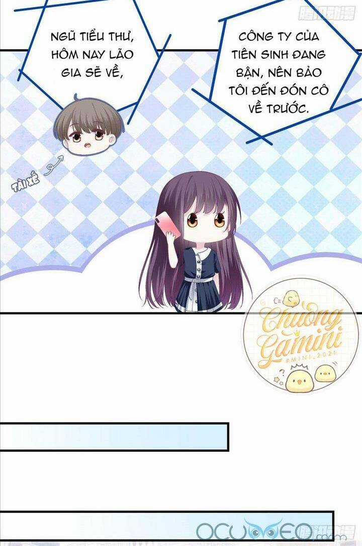 Bảo Bối Của Lão Đại Đã Xuyên Không Trở Về! Chapter 14 trang 8