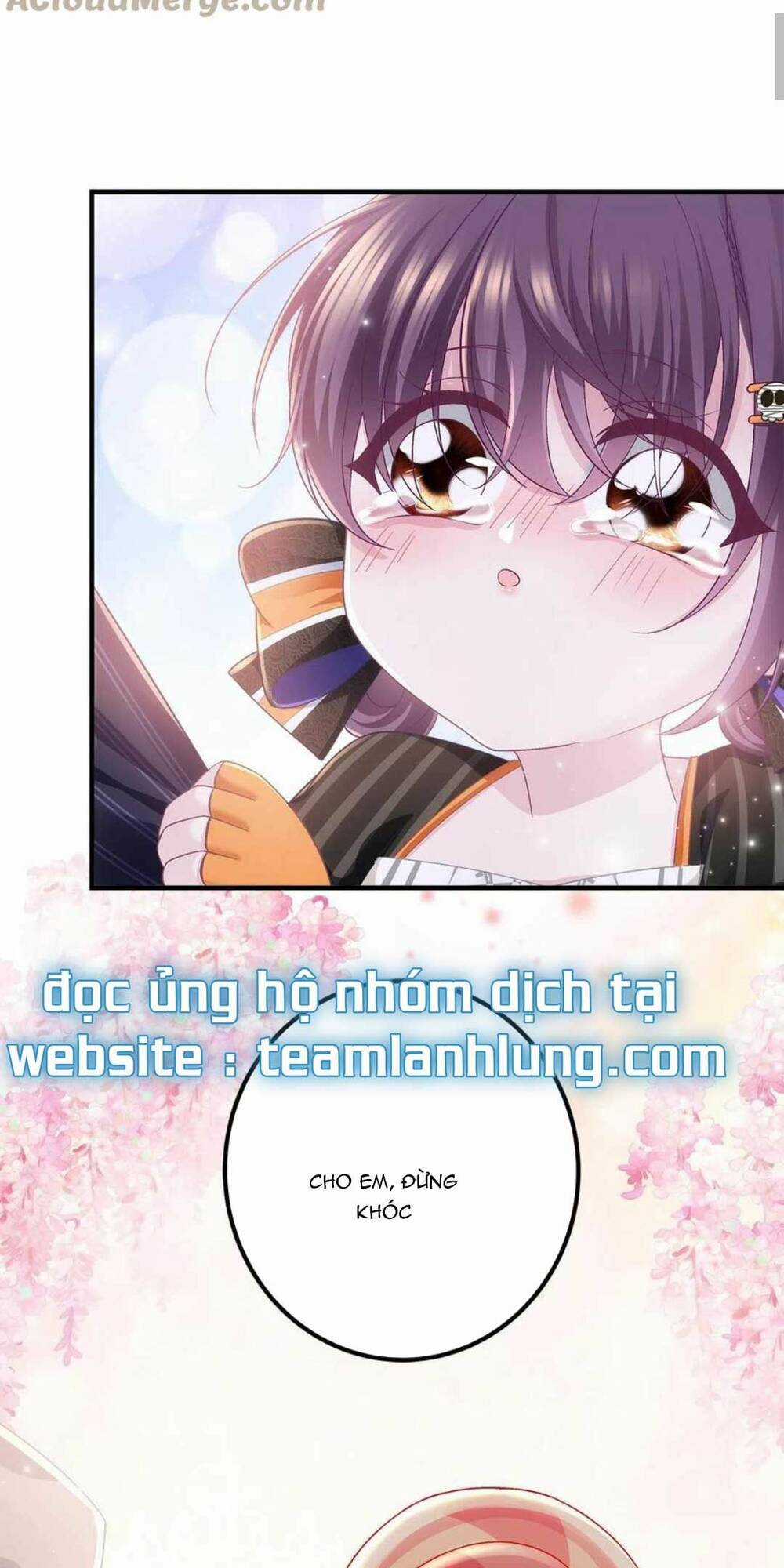 Bảo Bối Của Lão Đại Đã Xuyên Không Trở Về! Chapter 141 trang 13