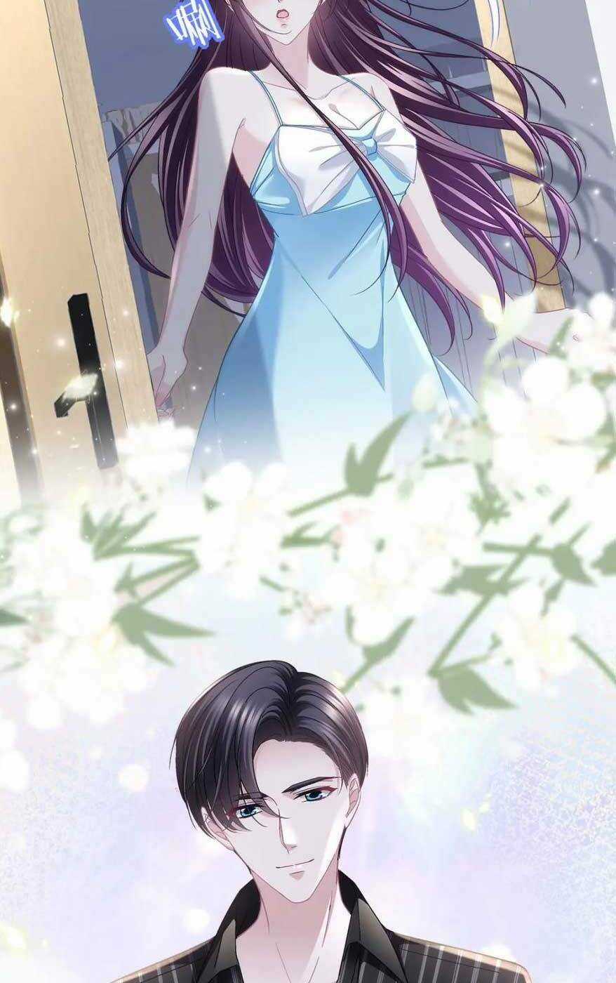 Bảo Bối Của Lão Đại Đã Xuyên Không Trở Về! Chapter 191 trang 32