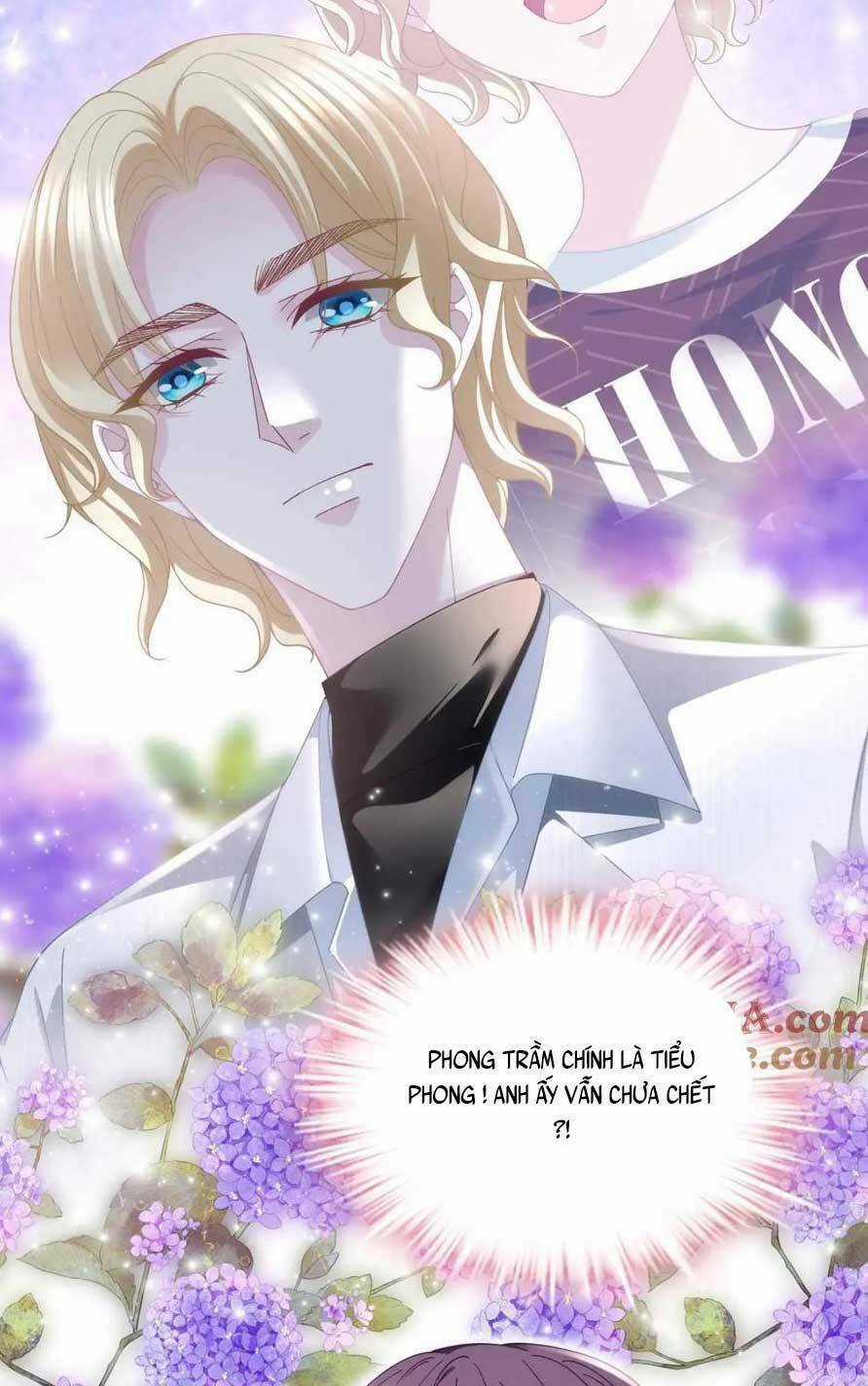 Bảo Bối Của Lão Đại Đã Xuyên Không Trở Về! Chapter 204 trang 16