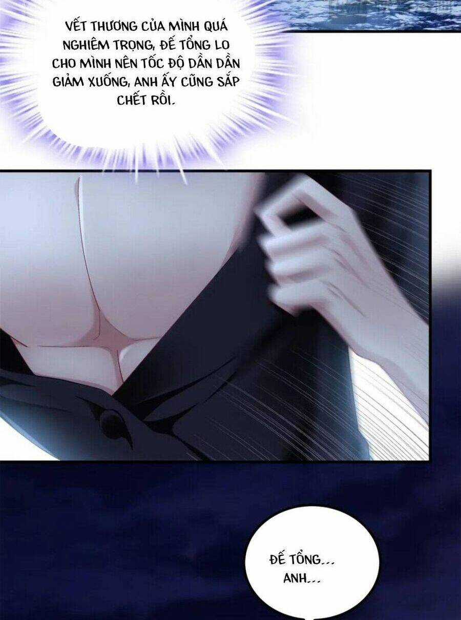 Bảo Bối Của Lão Đại Đã Xuyên Không Trở Về! Chapter 209 trang 11