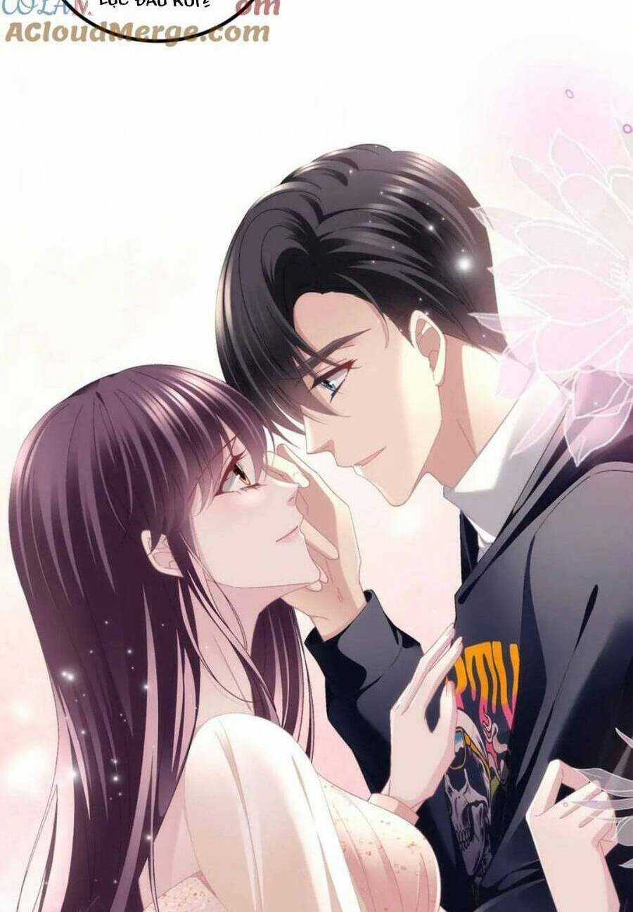 Bảo Bối Của Lão Đại Đã Xuyên Không Trở Về! Chapter 211 trang 14