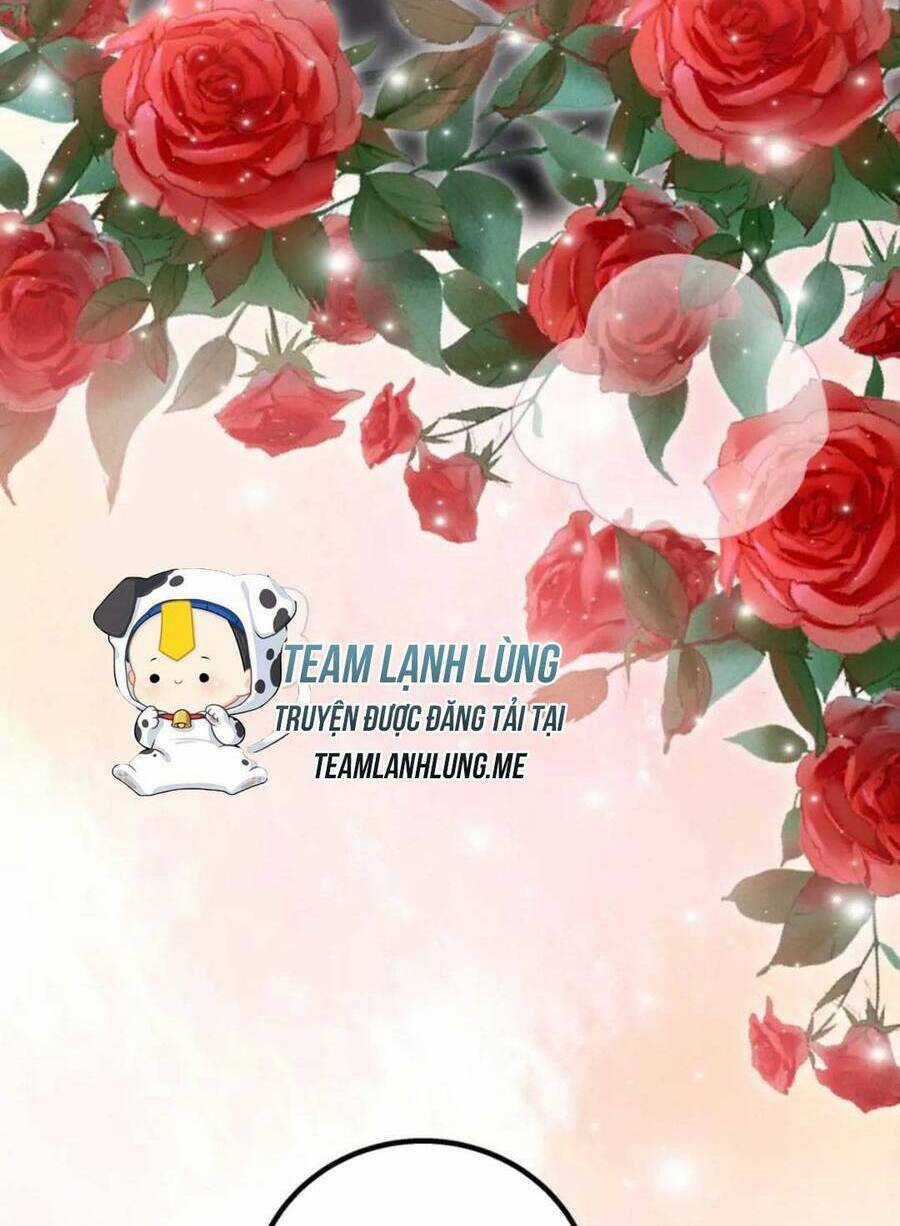 Bảo Bối Của Lão Đại Đã Xuyên Không Trở Về! Chapter 212 trang 43