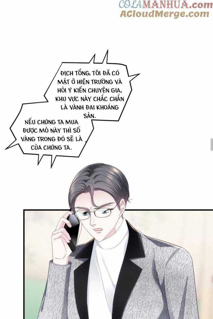 Bảo Bối Của Lão Đại Đã Xuyên Không Trở Về! Chapter 213 trang 25