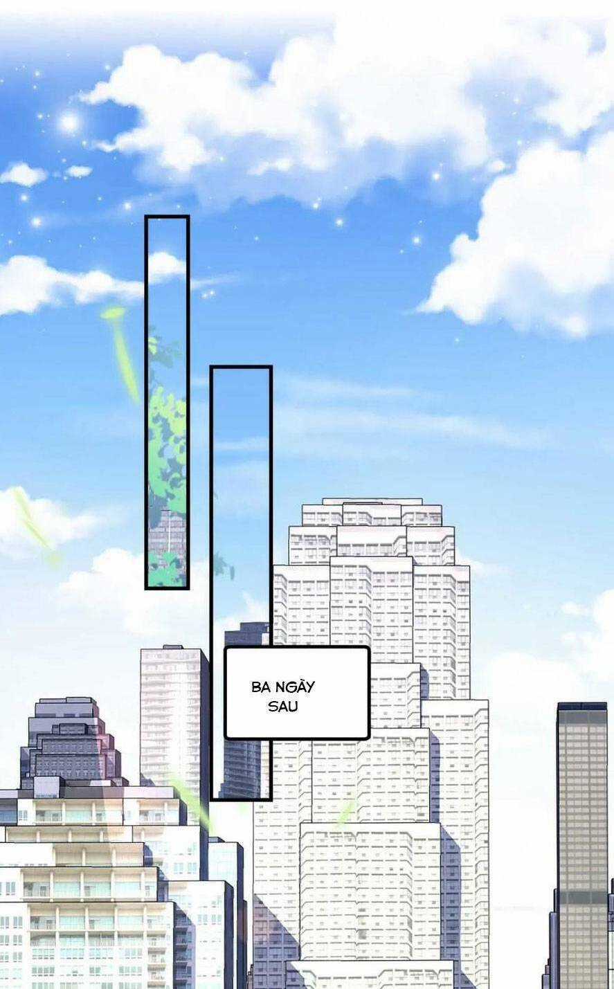 Bảo Bối Của Lão Đại Đã Xuyên Không Trở Về! Chapter 214 trang 15