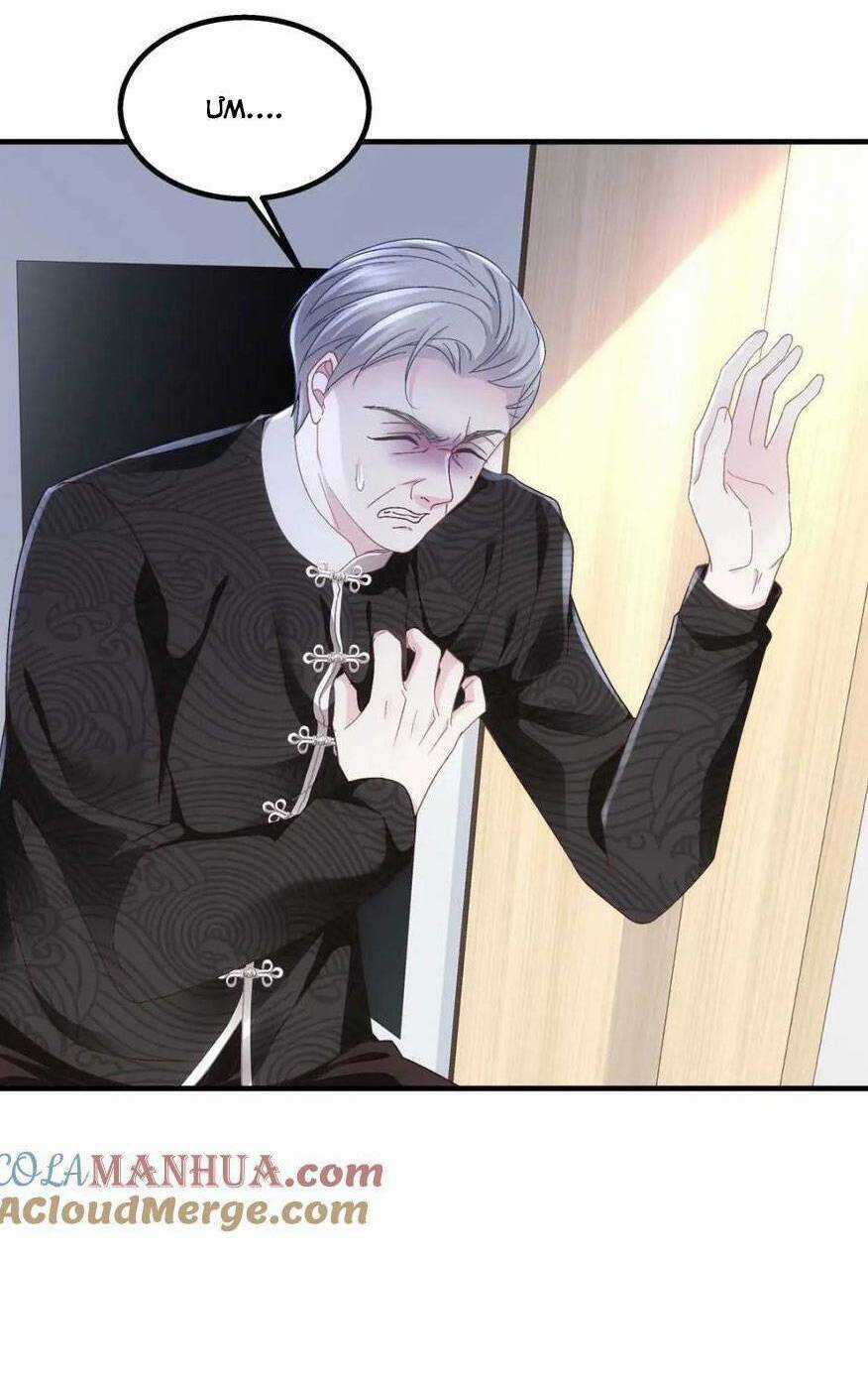 Bảo Bối Của Lão Đại Đã Xuyên Không Trở Về! Chapter 215 trang 25