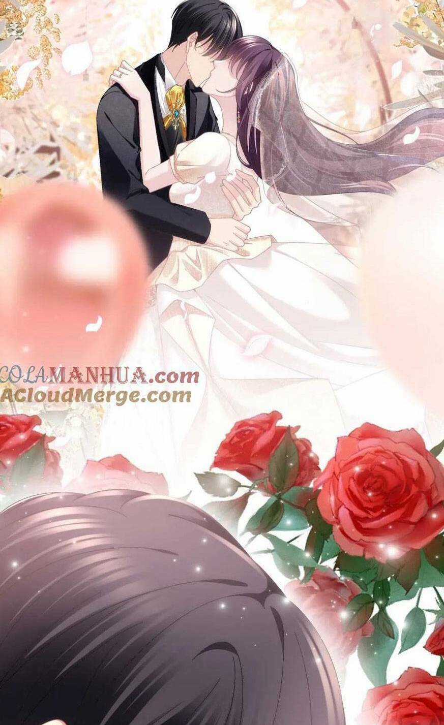 Bảo Bối Của Lão Đại Đã Xuyên Không Trở Về! Chapter 216 trang 13