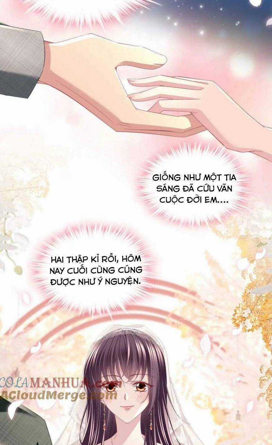 Bảo Bối Của Lão Đại Đã Xuyên Không Trở Về! Chapter 216 trang 6