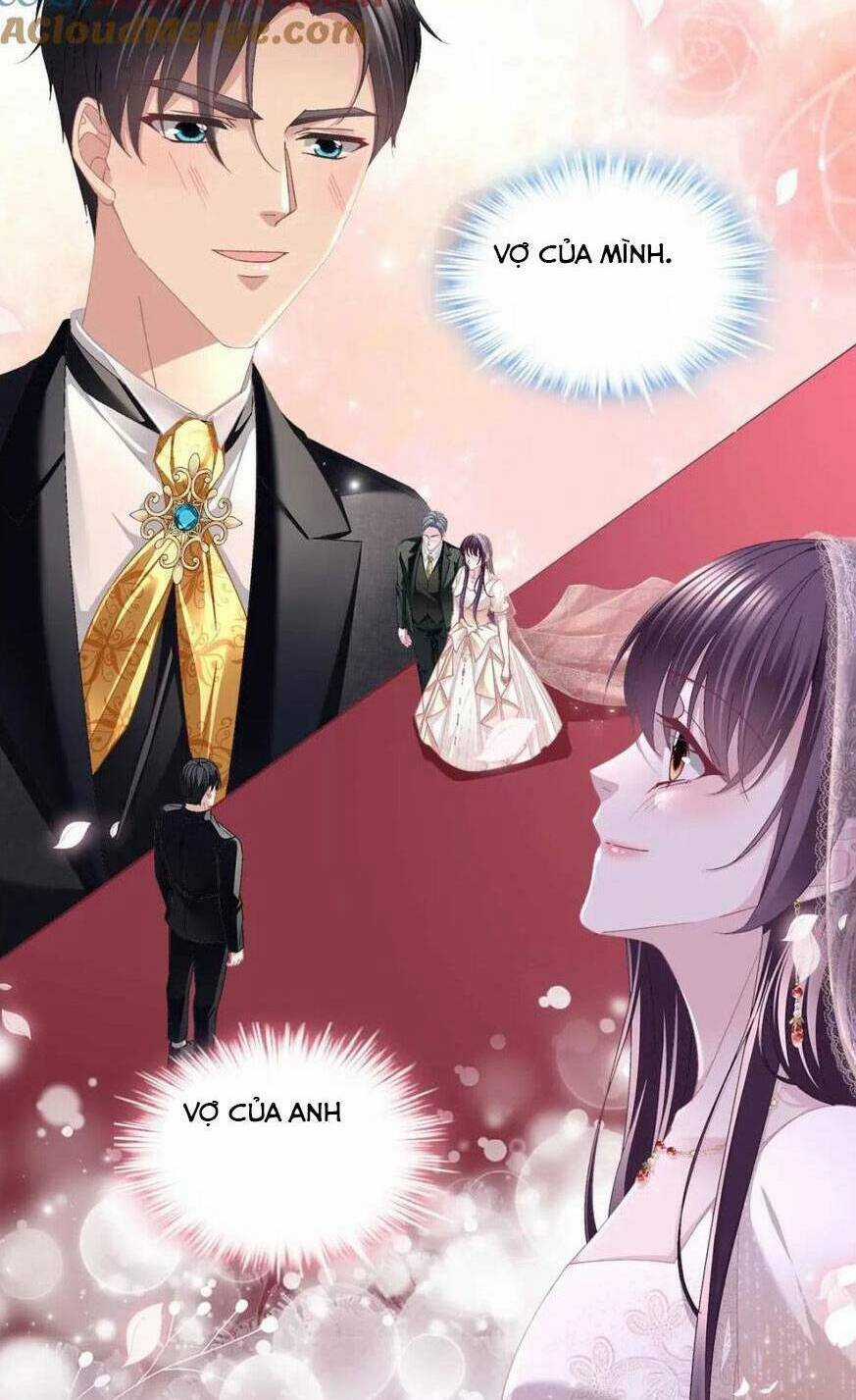 Bảo Bối Của Lão Đại Đã Xuyên Không Trở Về! Chapter 216 trang 8