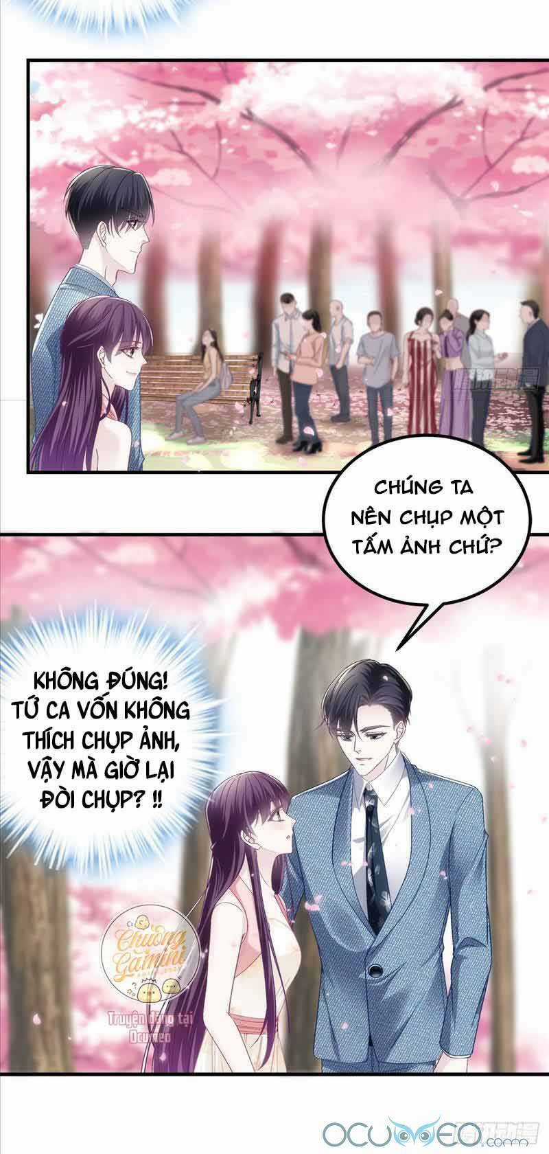 Bảo Bối Của Lão Đại Đã Xuyên Không Trở Về! Chapter 27 trang 15