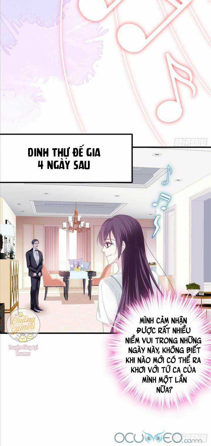 Bảo Bối Của Lão Đại Đã Xuyên Không Trở Về! Chapter 29 trang 4