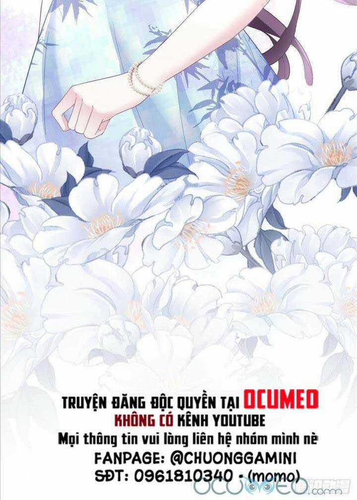 Bảo Bối Của Lão Đại Đã Xuyên Không Trở Về! Chapter 31 trang 17