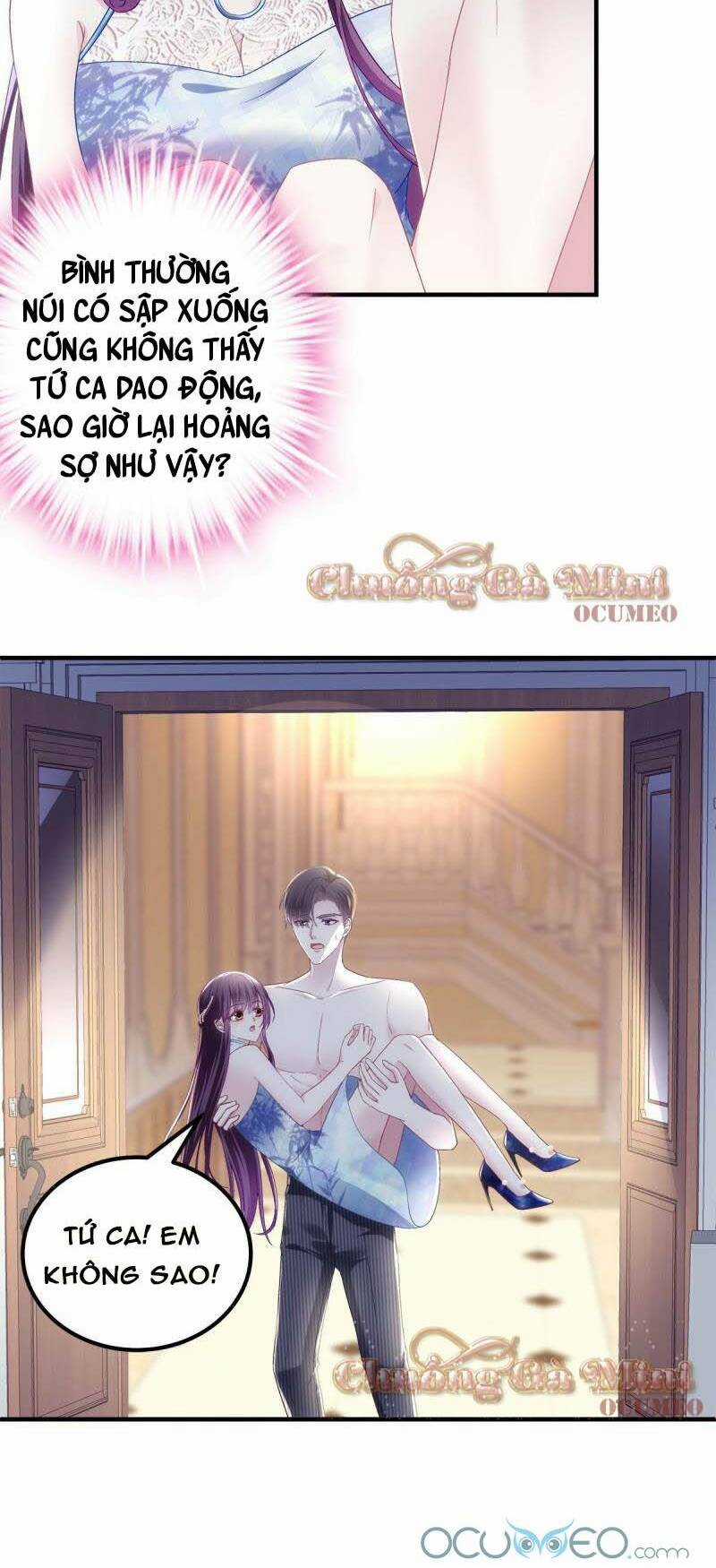 Bảo Bối Của Lão Đại Đã Xuyên Không Trở Về! Chapter 37 trang 7