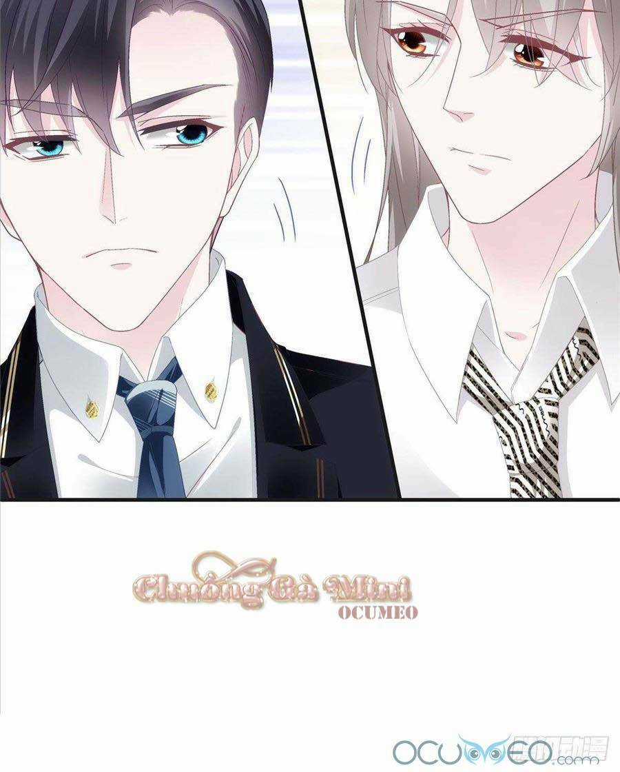 Bảo Bối Của Lão Đại Đã Xuyên Không Trở Về! Chapter 38 trang 15