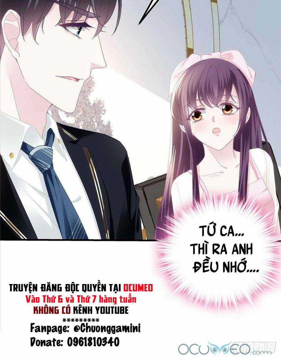 Bảo Bối Của Lão Đại Đã Xuyên Không Trở Về! Chapter 38 trang 8