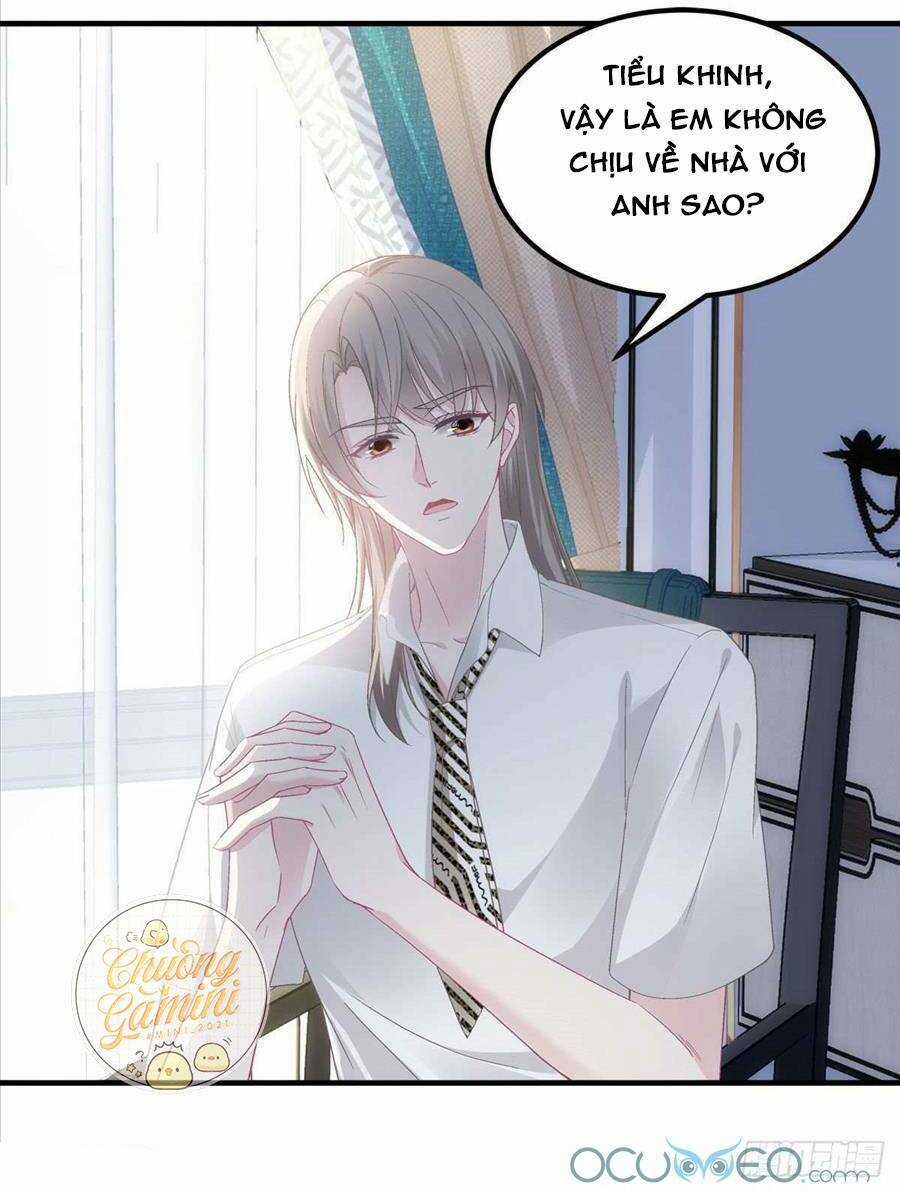 Bảo Bối Của Lão Đại Đã Xuyên Không Trở Về! Chapter 39 trang 12