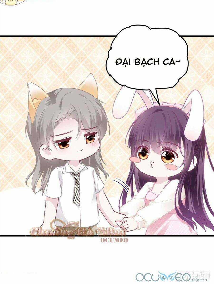 Bảo Bối Của Lão Đại Đã Xuyên Không Trở Về! Chapter 39 trang 23