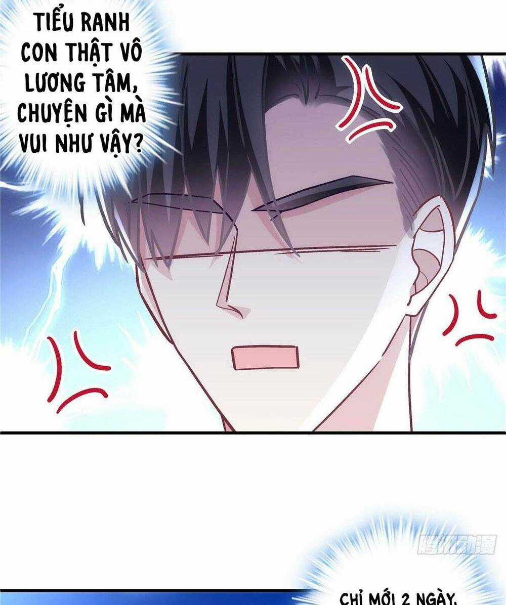 Bảo Bối Của Lão Đại Đã Xuyên Không Trở Về! Chapter 44 trang 15