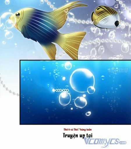 Bảo Bối Của Lão Đại Đã Xuyên Không Trở Về! Chapter 63 trang 14