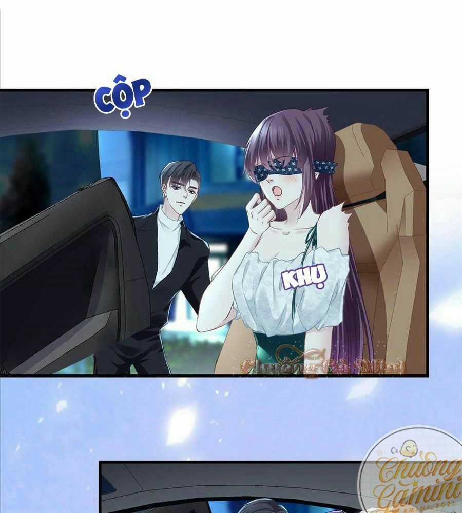 Bảo Bối Của Lão Đại Đã Xuyên Không Trở Về! Chapter 64 trang 28