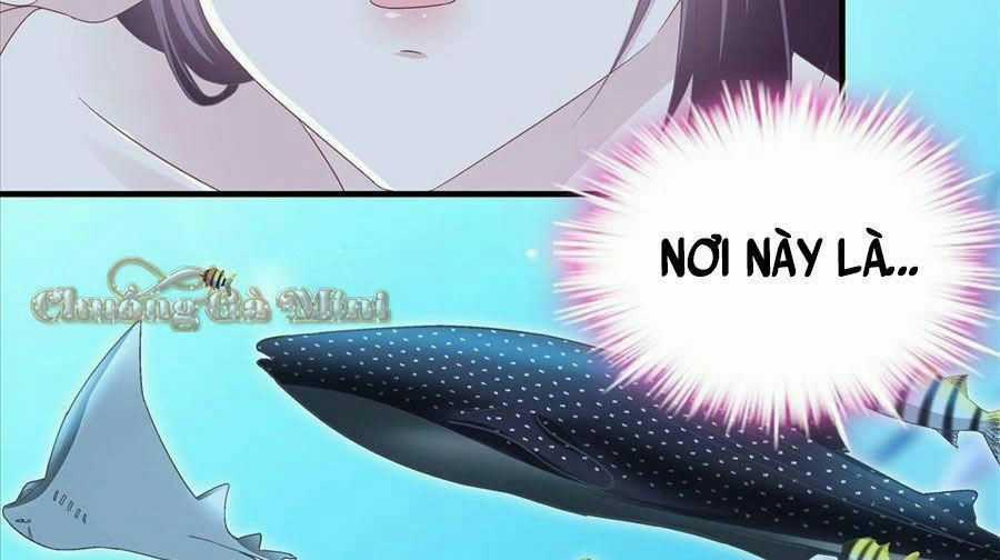 Bảo Bối Của Lão Đại Đã Xuyên Không Trở Về! Chapter 64 trang 51