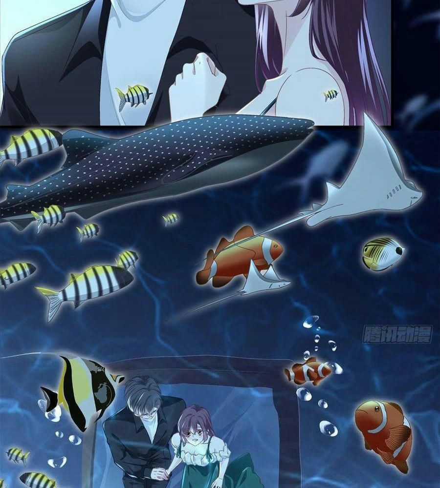 Bảo Bối Của Lão Đại Đã Xuyên Không Trở Về! Chapter 64 trang 55