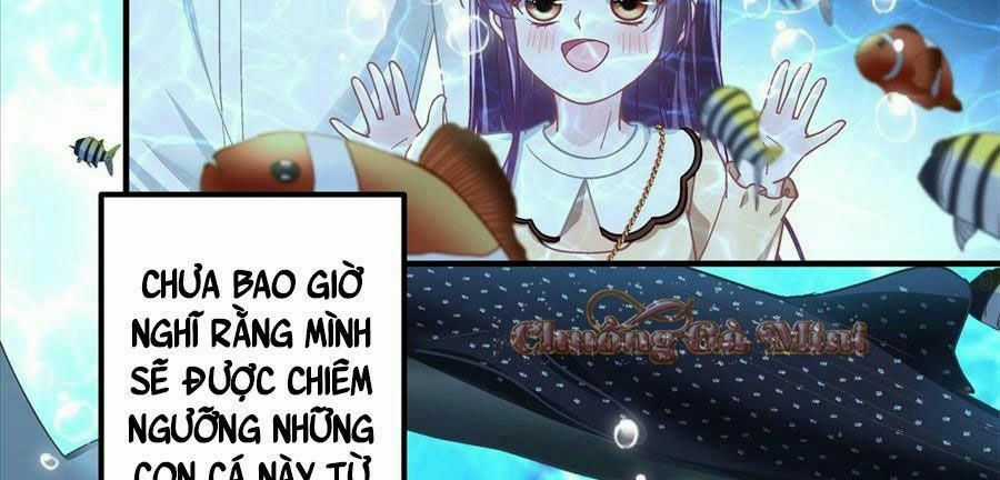 Bảo Bối Của Lão Đại Đã Xuyên Không Trở Về! Chapter 64 trang 60