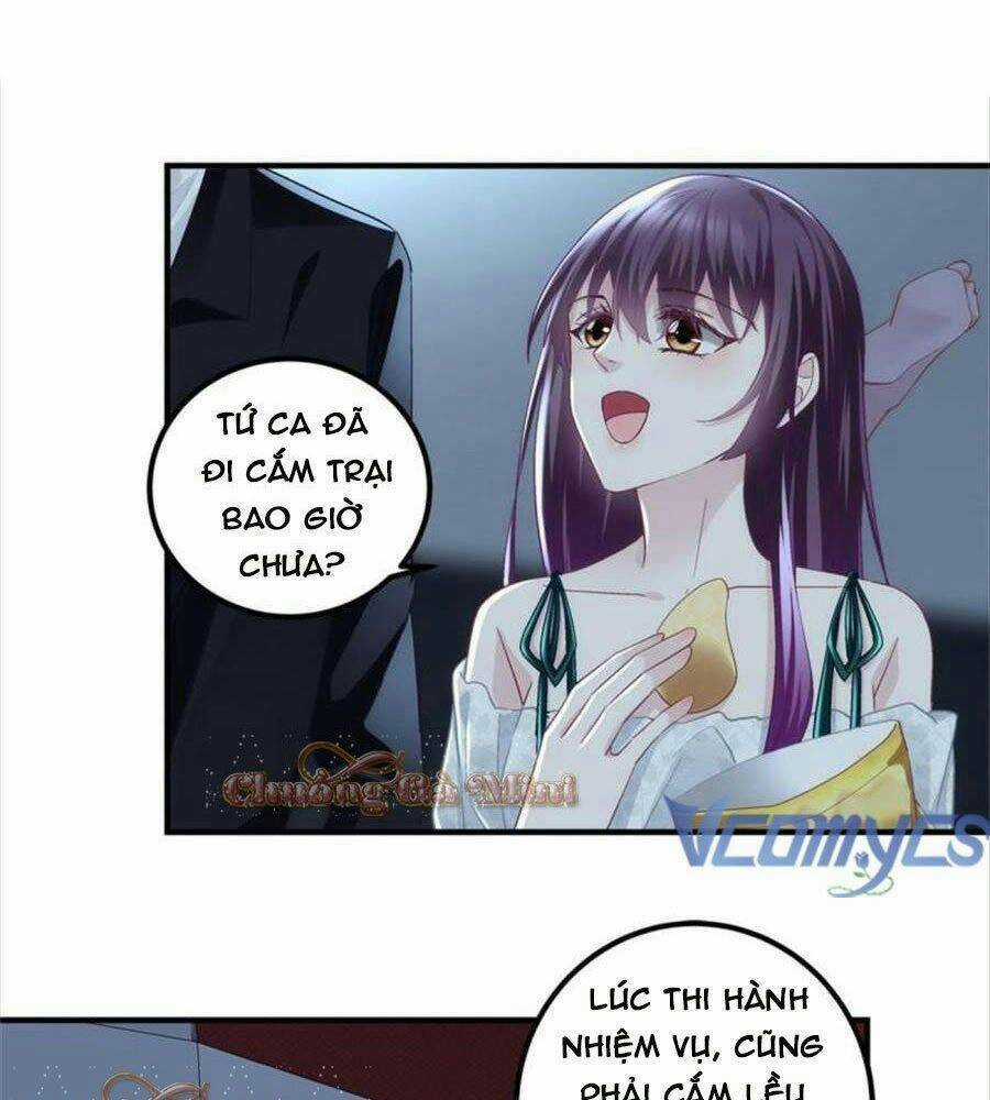 Bảo Bối Của Lão Đại Đã Xuyên Không Trở Về! Chapter 65 trang 24