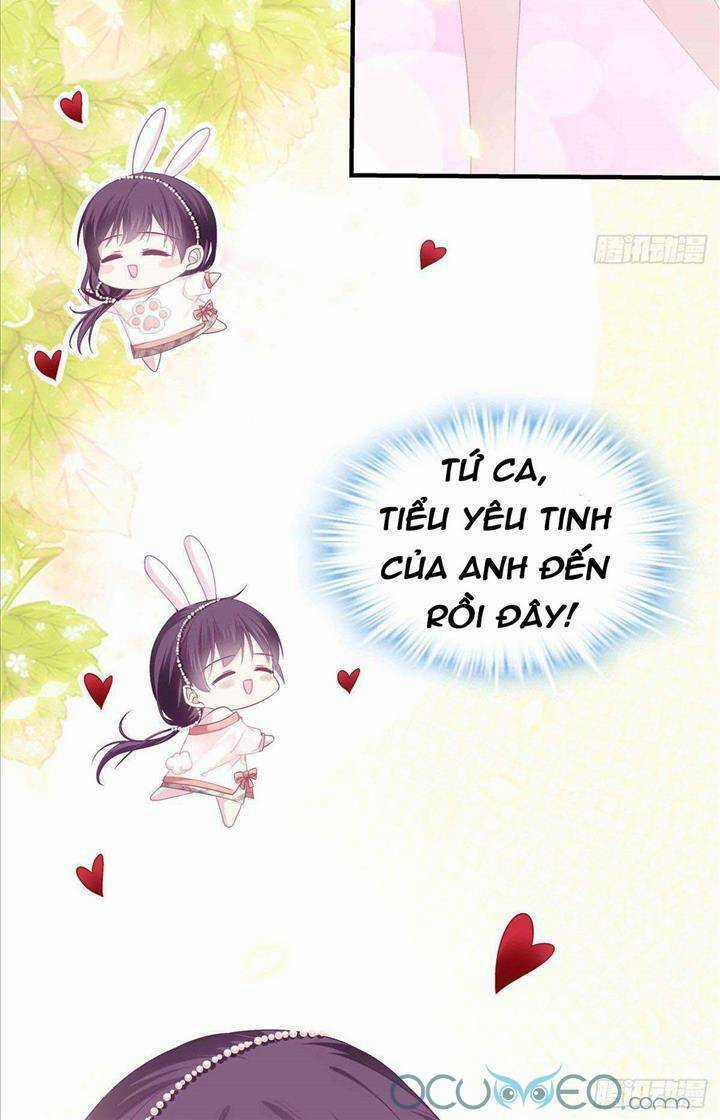 Bảo Bối Của Lão Đại Đã Xuyên Không Trở Về! Chapter 9 trang 4